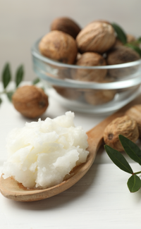 Shea Butter: Rich moisturizing base that softens skin and helps keep magnesium where you apply it longer.